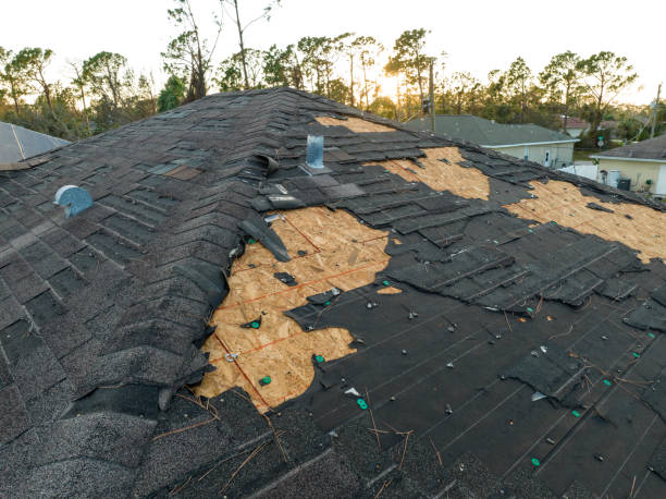 Best Asphalt Shingles Roofing  in Lone Grove, OK